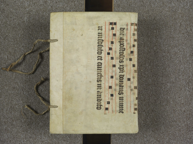 Vol. II : synodes 17-22