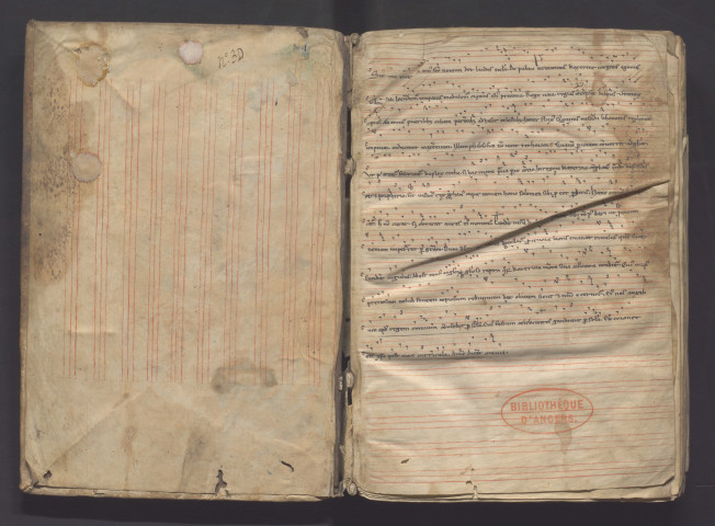 « Incipiunt questiones sancti Augustini super Eptateucum. Cum Scripturas sanctas que appellantur canonice... »