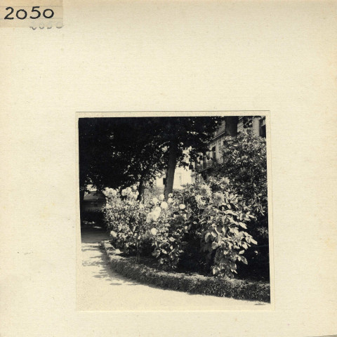 Angers : Jardin du Mail