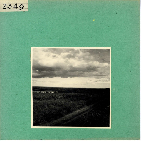 Le Thoureil : Vignoble, côteaux de la Loire (près de l'Abbaye de Saint Maur)