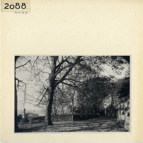 Angers : Esvière (Vieil Angers)