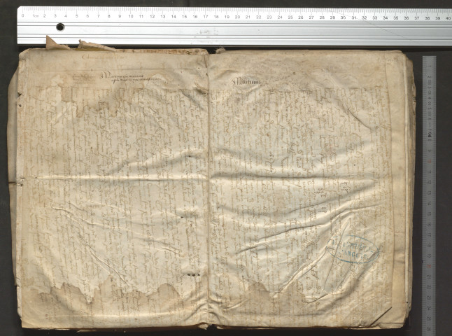 « Incipit prologus super Compendium theologice veritatis. Veritatis theologice sublimitas... »