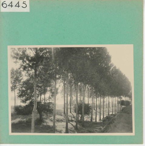 Saint-Rémy-la-Varenne : Parc