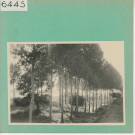 Saint-Rémy-la-Varenne : Parc