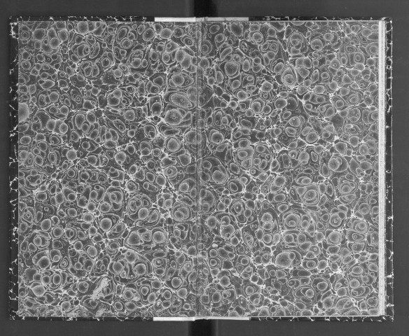 Avis au Tiers-État [suivi de Modèle de doléances, pour les paroisses de l'Anjou]