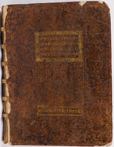 « Prologus in sextum Naturalium. Reverentissimo Toletane sedis archiepiscopo et Nyspaniarum primati, Johannes Avendauth, israelita... Cum omnes homines constent ex anima et corpore... Explicit 6us liber Avicenne »