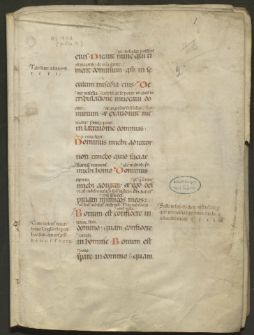 Fragment des Psaumes, avec gloses marginales et intralinéaires (XIIIe siècle)