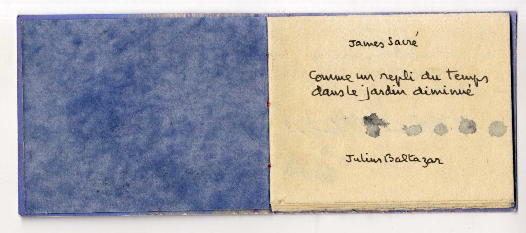 Comme un repli du temps dans le jardin diminué