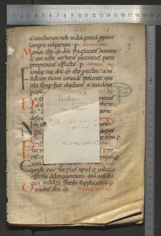 Fragment de rituel (XIe siècle)