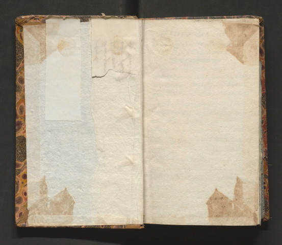 « Flore des environs de Paris, adaptée au département de Maine-et-Loire »