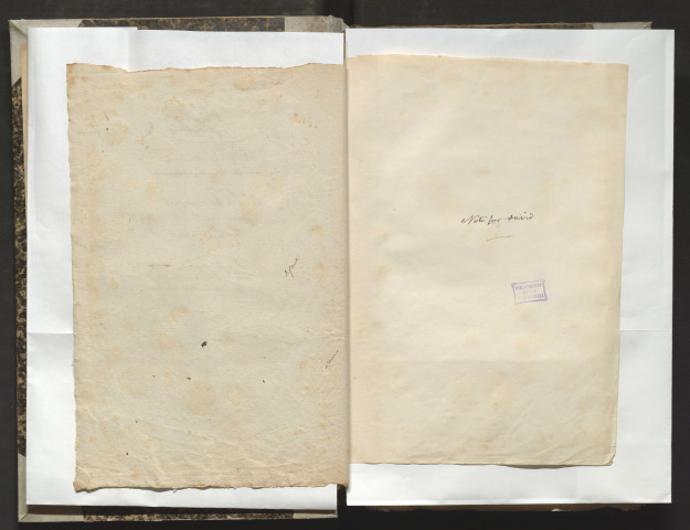 Notices biographiques et archives originales rassemblées par François Grille sur ses contemporains. 2e dossier : Notes et particularités sur la vie et les ouvrages de Pierre Jean David, statuaire, membre de l'Institut