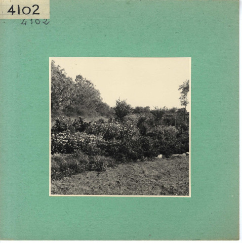 Beaulieu-sur-Layon : Jardin public