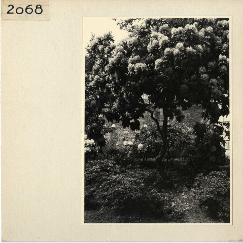 Angers : Jardin des Plantes