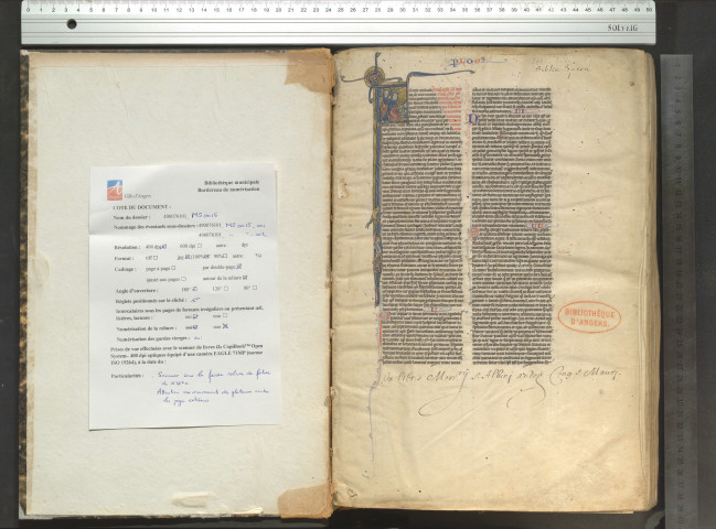 Bible latine, texte de l'Université