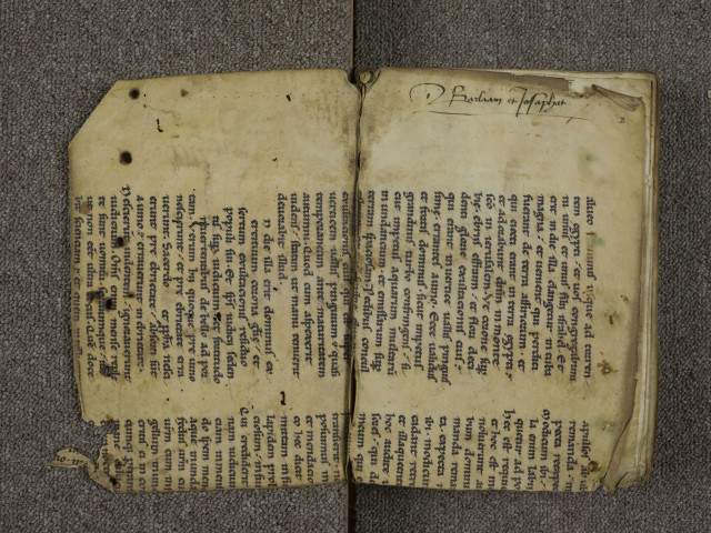 « Incipit liber gestorum Barlaam et Josaphat, servorum Christi, editus greco sermone a Johanne Damasceno, viro sancto et erudito. Cum cepissent monasteria construi... » « Expliciunt sermones Barlaam et Josaphat, servorum Dei. Qui scripsit vivat, gaudeat atque legens. Amen »