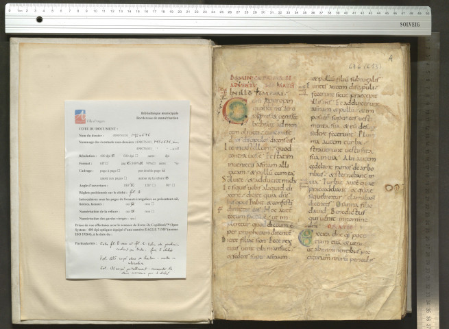« Incipit praefatio Cassiodori Senatoris, servi Dei. Utiliter nimis in capite libri prefatio ponitur... » suivi de « Incipiunt tituli ecclesiastice hystoriae cum opere suo ab Epyphanio scolastico, Domino praestante, translati... Explicit liber duodecimus historiae ecclesiasticae. Deo gratias. »
