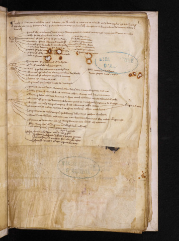 Pierre le Chantre. Verbum abreviatum. « Abel dicitur principium ecclesie propter innocentiam... » Fin : « Quanta non fuit unquam in alio homine. Expliciunt Distinctiones per alphabetum. » Sur un feuillet de garde, XIIIe siècle, tableau des articles de la foi chrétienne et quatre vers