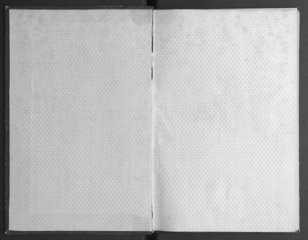 Précis généalogique de la maison de Quatrebarbes