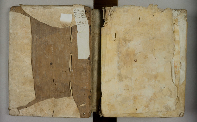 Expositio in Evangelia et Epistolas