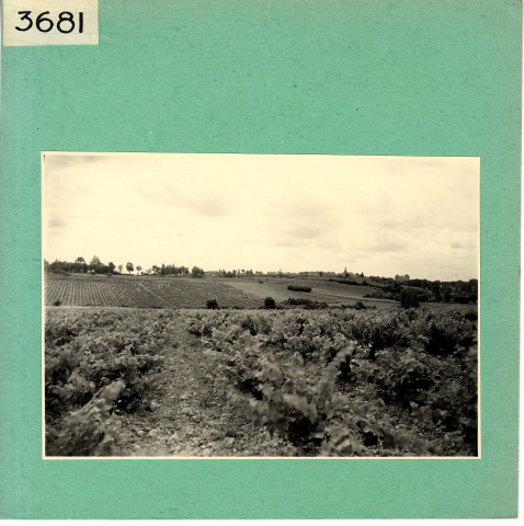 Brissac : Vue d'ensemble