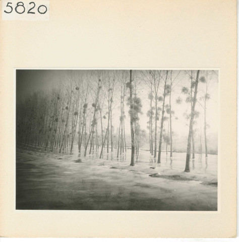 Bouchemaine : Glace dans la Loire