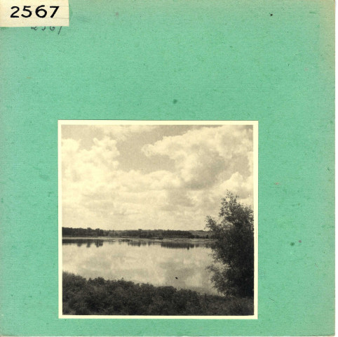 Saint-Mathurin-sur-Loire : La Loire