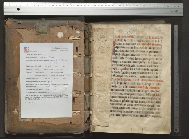 Martyrologe d'Usuard, sans les préfaces. Manque un feuillet à la fin