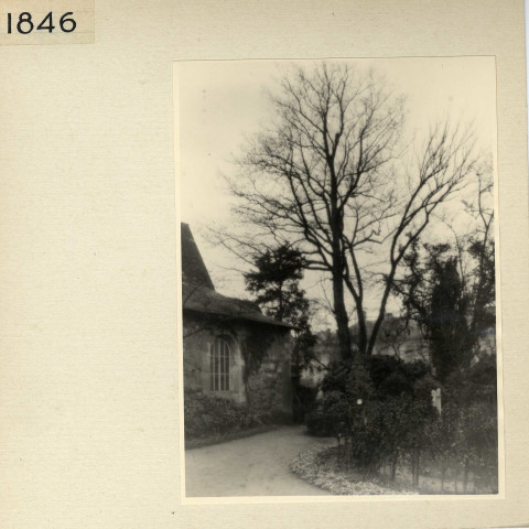 Angers : Jardin des Plantes, serre