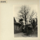 Angers : Jardin des Plantes, serre