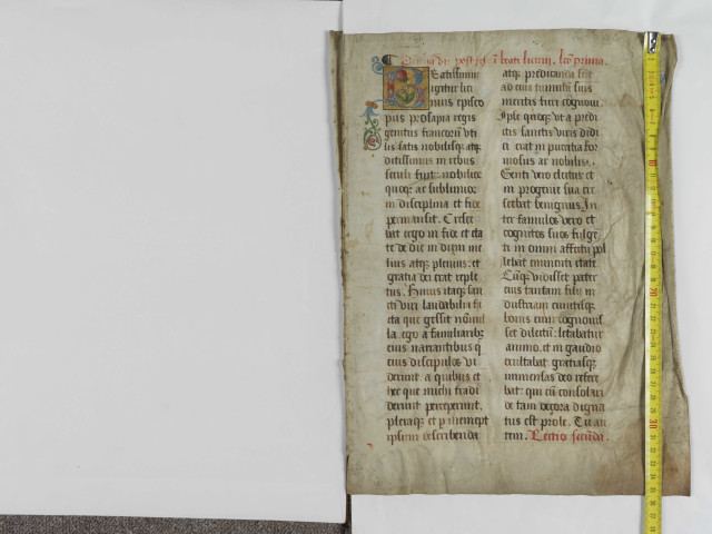 Fragment d'un lectionnaire ou d'un passionnaire contenant les leçons pour l'octave de saint Lézin, évêque d'Angers (14 - 20 février)