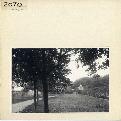 Angers : Esvière (Vieil Angers)