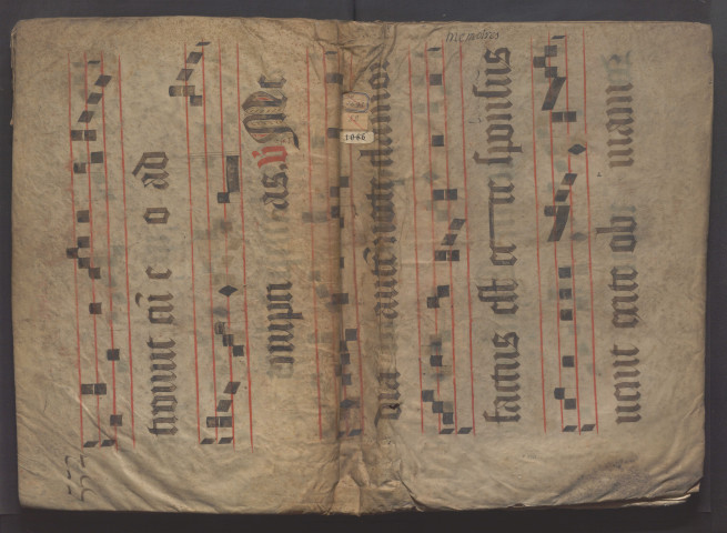 [Recueil de privilèges, sentences et affiches angevines]