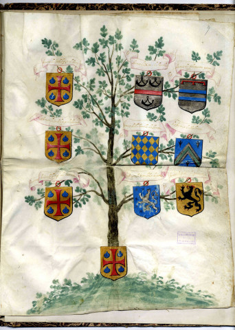 Preuves de noblesse faites au nom de Charles de Cherité, le 18 avril 1605, par-devant François de Marans, chevalier de l'ordre de Malte, commandeur de l'hôpital ancien d'Angers, et Olivier d'Escoublanc, aussi chevalier dudit ordre