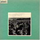 Le Thoureil : Vignoble, côteaux de la Loire (près de l'Abbaye de Saint Maur)