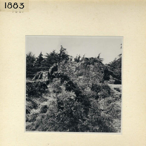 Angers : Parc de la Garenne