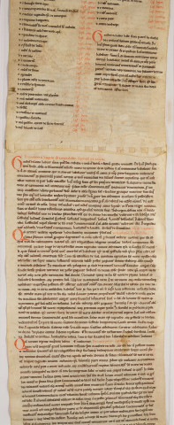 Cartulaire de l'abbaye de Notre-Dame du Ronceray, en six rouleaux opisthographes. « Primus rotulus » : longueur 5,448 m, largeur 0,300 m. Cent chartes, dont table en tête.