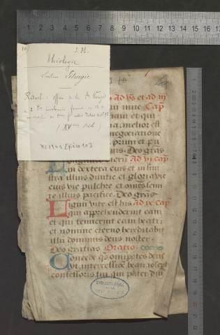 Fragment de rituel, office de la Sainte Vierge (XVe siècle)