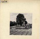 Angers : Jardin du Mail