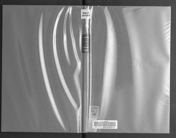 Notes complémentaires sur les artistes angevins