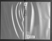 Notes complémentaires sur les artistes angevins