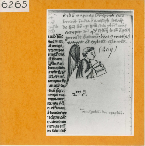 Angers : Bible (XII°siècle)