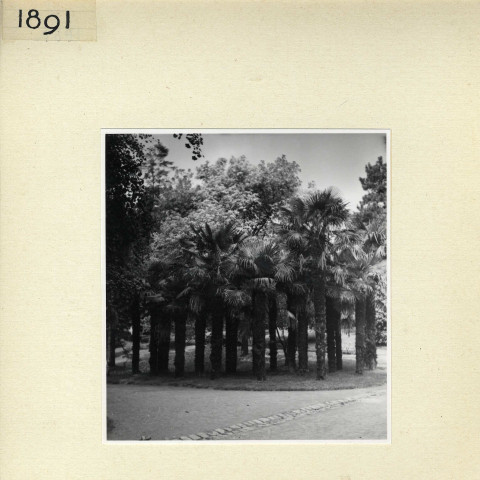 Angers : Jardin des Plantes