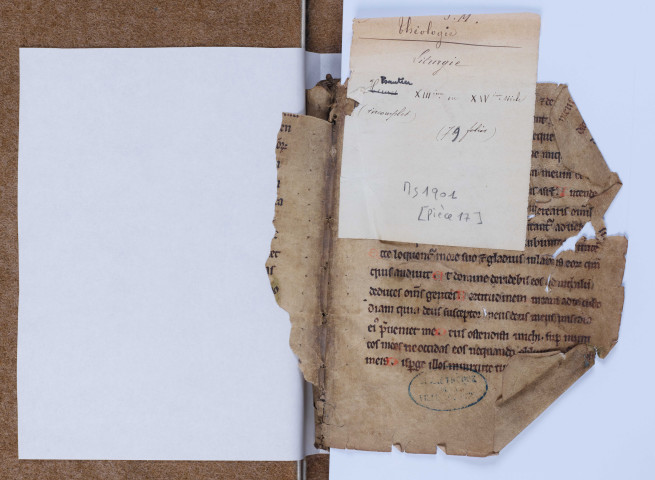 Fragment de psautier (XIIIe ou XIVe siècle)