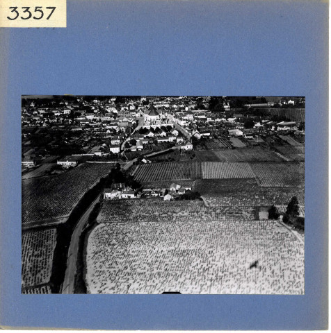 Rochefort-sur-Loire : Vue d'ensemble (vue aérienne)