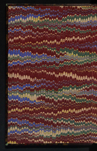 Carnet de notes [Bruel 12]