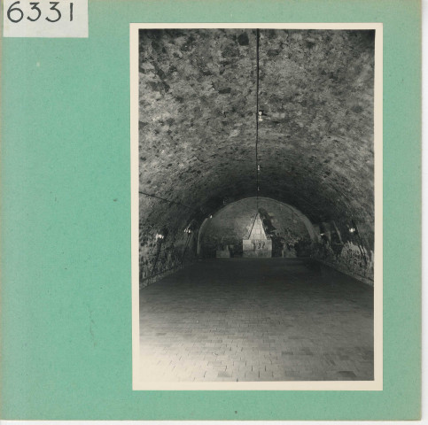 Ecuillé : Château du Plessis-Bourré, le caveau