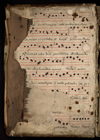 Psautier-hymnaire. Recueil liturgique adapté à l'usage de l'église Saint-Julien d'Angers