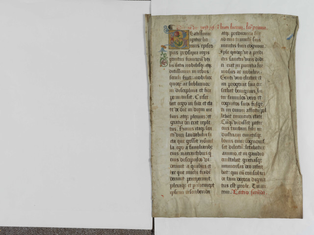 Fragment d'un lectionnaire ou d'un passionnaire contenant les leçons pour l'octave de saint Lézin, évêque d'Angers (14 - 20 février)