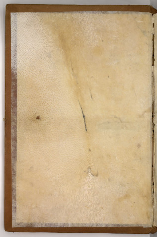 Évangiles (fragmentaires)