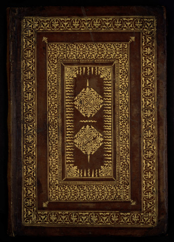 Apocalipsis Jesu Christi, hoc est Revelatione fatta a sancto Giohanni evangelista, cum nova expositione in lingua volgare composta per el reverendo... Federico veneto... cum chiara dilucidatione...